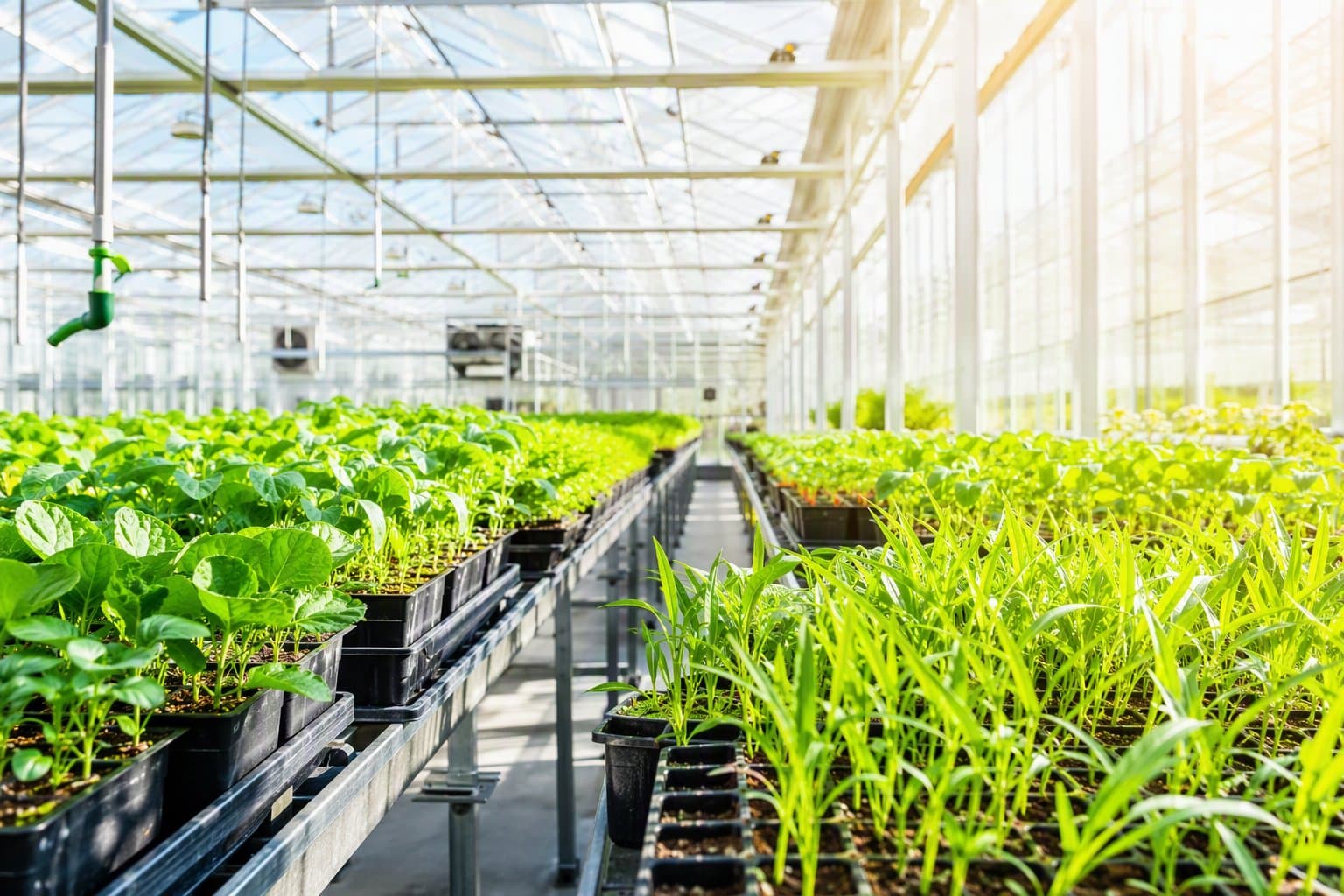 agricultural education - illustration, Jake Team LLC